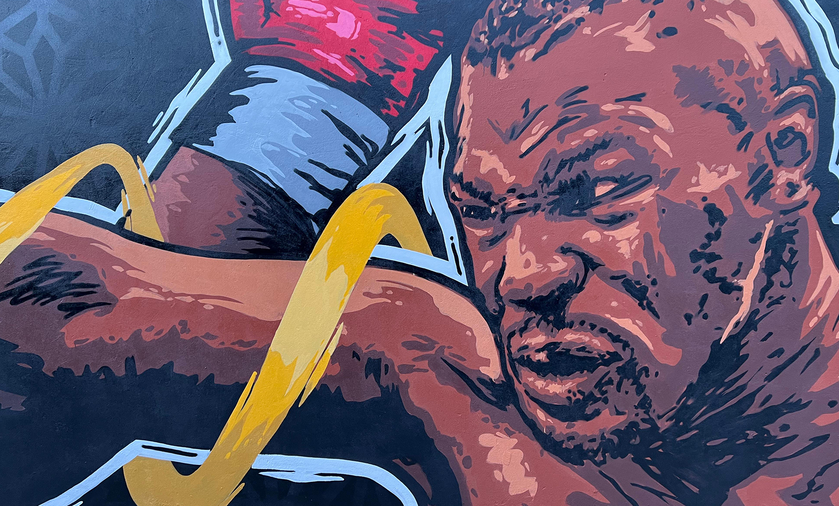 Lee más sobre el artículo Panther GYM