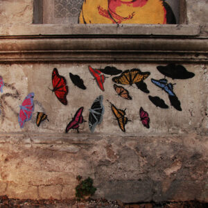 2007-camino-al-trabajo-mariposas